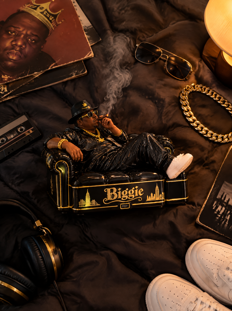 Biggie humidifier flat-lay with vinyl and gold chains